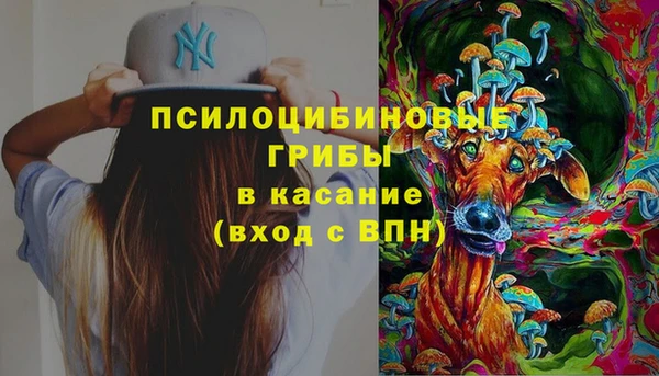 первитин Балахна