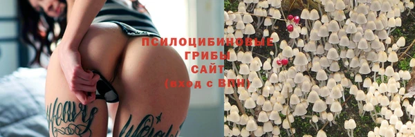первитин Балахна